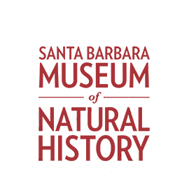 Santa Barbara Museum of Natural History Library